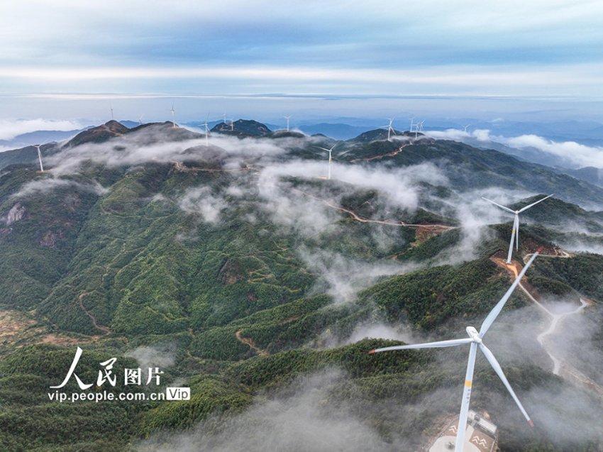 全国药店数量远超奶茶店，盈利方式曝光——背后“潜规则”太多