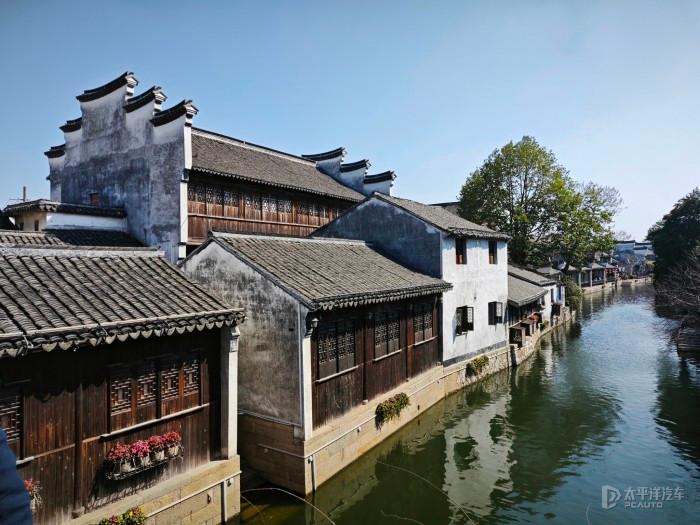 两名男孩偷走柯基后，卖给狗肉车落入狗贩子手里，女生及时赎回来